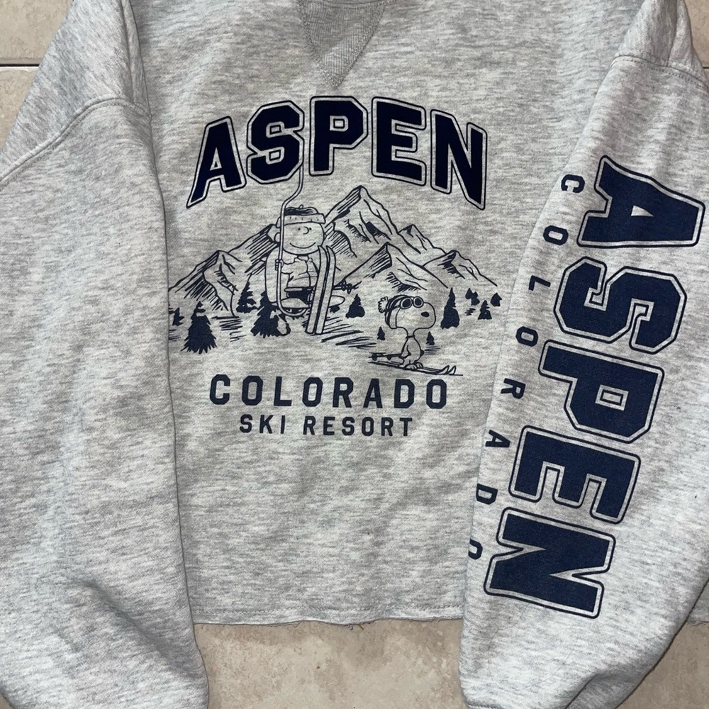 Aeropostale Gray Peanuts Sweatshirt